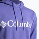 Columbia CSC Basic Logo II vyriškas džemperis 1681664546 8