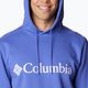 Columbia CSC Basic Logo II vyriškas džemperis 1681664546 5