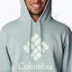 Columbia Trek Hoodie vyriški trekingo džemperiai pilka 1957913 5