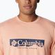 Vyriški žygių marškinėliai Columbia Kwick Hike Graphic SS apricot fizz/csc box treeline 5