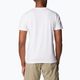 Vyriški žygių marškinėliai Columbia Sun Trek Short white/simple gorge 3