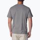 Vyriški žygių marškinėliai Columbia Sun Trek Short city grey heather/simple gorge 3