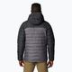 Vyriška pūsta striukė Columbia Powder Lite II Hooded city grey/ shark 3