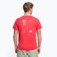 Vyriški trekingo marškinėliai The North Face AO Graphic red NF0A7SSCV331 4