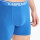 Vyriški terminiai boksininko šortai Icebreaker Anatomica lazurite 6
