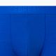Vyriški terminiai boksininko šortai Icebreaker Anatomica Cool-Lite lazurite 3
