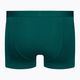 Vyriški terminiai boksininko šortai Icebreaker Anatomica Cool-Lite greenglory 2
