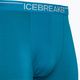 Vyriški terminiai boksininko šortai Icebreaker Anatomica geo blue 3