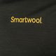 Vyriški marškinėliai Smartwool Memory Quilt Graphic Tee Guitar trekking shirt black SW016834K48 6
