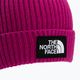 The North Face TNF Box Logo Kepurė su rankogaliais rožinės spalvos NF0A7WGC1461 3