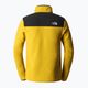 Vyriški vilnoniai džemperiai The North Face Homesafe Snap Neck Fleece Pullover yellow NF0A55HM76S1 9