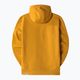 Vyriški džemperiai The North Face Drew Peak Pullover Hoodie yellow NF00AHJY76S1 11
