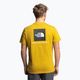 Vyriški trekingo marškinėliai The North Face Redbox yellow NF0A2TX276S1 4