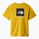 Vyriški trekingo marškinėliai The North Face Redbox yellow NF0A2TX276S1 10