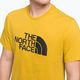 Vyriški trekingo marškinėliai The North Face Easy yellow NF0A2TX376S1 5