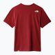Vyriški trekingo marškinėliai The North Face Easy red NF0A2TX36R31 9