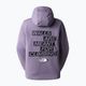 Moteriški džemperiai The North Face Outdoor Graphic Hoodie Light purple NF0A827LN141 2