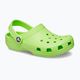 Vaikiškos šlepetės Crocs Classic Clog T limeade 9