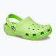 Vaikiškos šlepetės Crocs Classic Clog Kids limeade 9