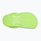 Vaikiškos šlepetės Crocs Classic Clog Kids limeade 14