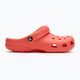 Šlepetės Crocs Classic neon watermelon 3