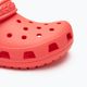 Šlepetės Crocs Classic neon watermelon 8