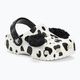 Vaikiškos šlepetės per pirštą Crocs Classic I AM Dalmatian white / black 2