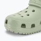 Vaikiškos šlepetės Crocs Classic Clog Kids 8
