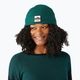 Žieminė kepurė Smartwool Smartwool Patch emerald green heather 7