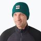Žieminė kepurė Smartwool Smartwool Patch emerald green heather 8