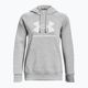 Under Armour moteriškas džemperis Rival Fleece Big Logo Hoody mod gray light heather/white 5