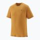 Vyriški marškinėliai Patagonia Cap Cool Merino Blend Graphic Shirt fizt roy icon/pufferfish gold 3