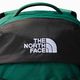 Turistinė kuprinė The North Face Borealis 28 l evergreen/black 3