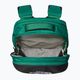 Turistinė kuprinė The North Face Borealis 28 l evergreen/black 4