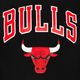 Vyriškas džemperis New Era NBA Regular Hoody Chicago Bulls black 3