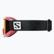 Salomon Juke Access rožinės/toninės oranžinės spalvos vaikiški slidinėjimo akiniai L39137500 8
