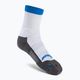 Babolat Pro 360 vyriškos teniso kojinės mėlynos ir baltos spalvos 5MA1322