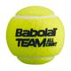 Babolat Team All Court teniso kamuoliukai 4 vnt. geltoni 502081 3