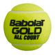 Babolat Gold All Court teniso kamuoliukai 4 vnt. geltoni 502085 2