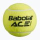 Babolat Ace padelio kamuoliukai 3 vnt. geltoni 501104 2
