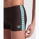 Maudymosi trumpikės Arena Icons Swim Short Solid sepia/water 7