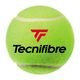 Tecnifibre X-One teniso kamuoliukai 4 vnt. geltoni 60XONE364N