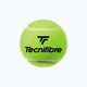 Tecnifibre Club Pet teniso kamuoliukai 4 vnt. geltoni 60CLUB364N 2