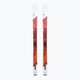 Vyriškos slidinėjimo slidės Dynastar M-Vertical 88 F-Team + HT10 orange DRLM304 2