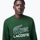 Vyriškas džemperis Lacoste SH1281 green 4