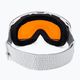 Alpina Granby Q-Lite balti blizgūs/mėlyni slidinėjimo akiniai 3