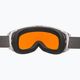 Alpina Granby Q-Lite balti blizgūs/mėlyni slidinėjimo akiniai 8