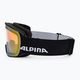 Alpina Nakiska Q-Lite juodi matiniai/auksiniai slidinėjimo akiniai 4