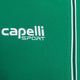 Capelli Basics Adult Training žalias/baltas vyriškas futbolo džemperis 3