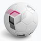 Capelli Tribeca Metro Competition Hybrid Futbolo kamuolys AGE-5881 dydis 5 4